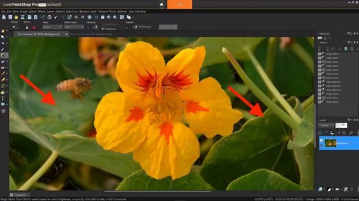 How to use the Magic Wand selection tool - Corel Discovery Center
