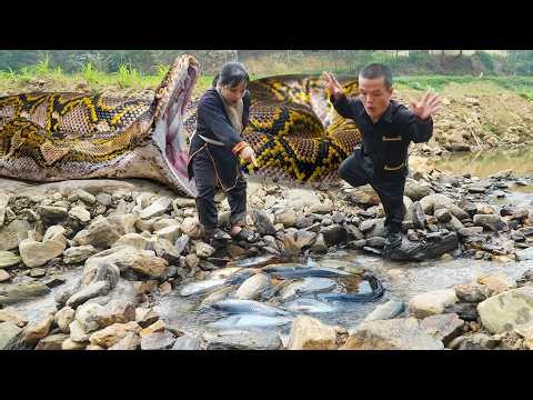 Dwarf Family Primitive Life: Traps Fish in the Stream and Encounter a Giant Python