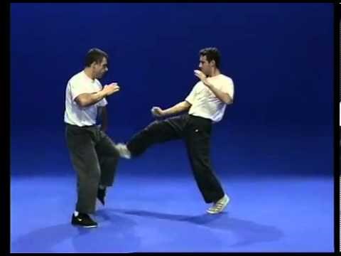 Tutorial Krav Maga Techniques