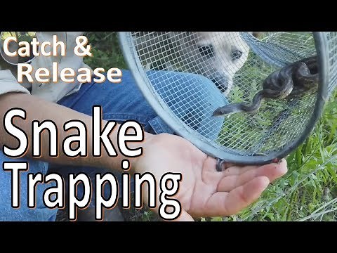 How to Trap a Snake