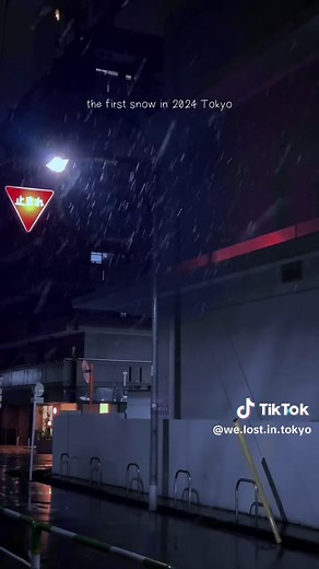 the first snow in 2024 Tokyo❄️ It snowed for a few minutes, but this may be the only snow in Tokyo this winter #snow #japan #日本 #tokyo #night #vibe #foryou