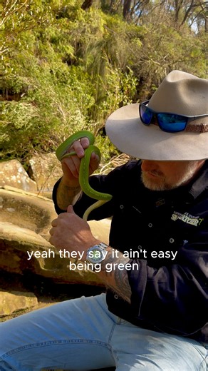 Meet the Green Tree Python, one of the most striking green watches we have ever made at Blessington. We are an Australian watch company founded in Sydney, created by brothers Tanner and Tane back in 2020. We build watches inspired by Australia’s wildlife, people, and places, then share them with the world. If you have been thinking about starting a watch collection, the Green Tree Python is a beautiful place to begin. It is bold, clean, and instantly recognisable on the wrist, and it is currentl