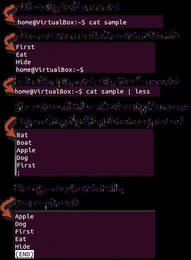 Pipe, Grep and Sort Command in Linux/Unix with Examples