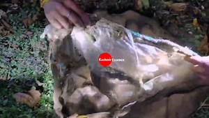 743K views · 7.9K reactions | Exclusive on Camera, Police along with security forces busts Militants module in Bandipora Jammu and Kashmir | The Kashmir Essence | Facebook