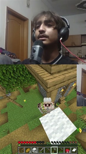 No brainrot joke made. #minecraft #minecrafthumor