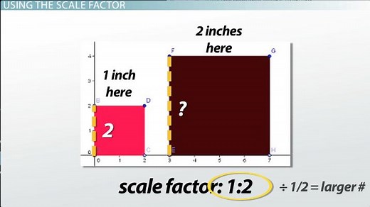 Scale Factor | Definition, Calculation & Examples