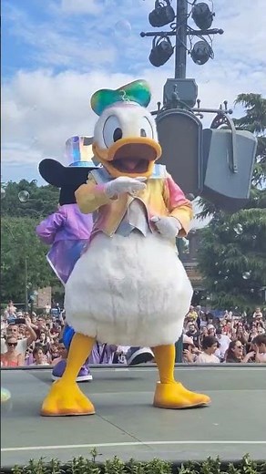 Happy birthday Donald duck !