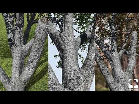 SpeedTree 8.2: Photogrammetry