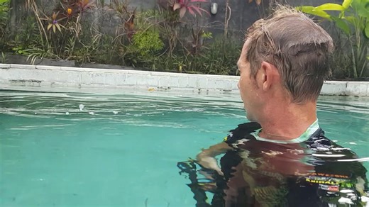 Finding multiple enormous pythons swimming together in backyard pool