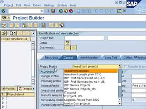 SAP PS Overview Tutorial