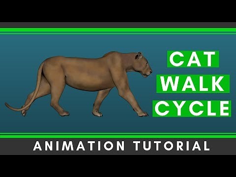 Cat Walk Cycle Animation Tutorial [Step by Step]