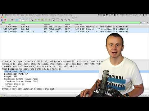 Analyzing UDP in Wireshark