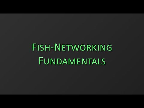 Fish-Networking Fundamentals