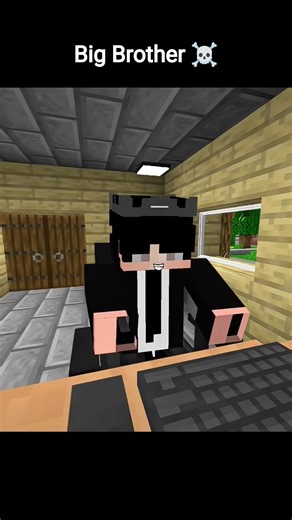 Do not disturb me in Minecraft ☠️