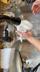 Bath Time for Azula🔥, the Black Eyed Leucistic Ball Python🛁🫧🧼 Keeping white snakes clean is certainly a challenge. This is not necessary to do for your snake, I am just OCD and like for our snakes to be clean and pristine😍 #ballpython #royalpython #reptiles #reptile #reptilesofinstagram #snake #snakes #pets #petsofinstagram #pet #bloodpython #reticulatedpython #carpetpython #burmesepython #boaconstrictor #leopardgecko #crestedgecko #beardeddragon #animals #wildlife #bof #recessivegang #ball