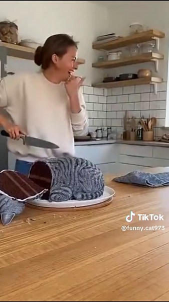 Hilarious Cat Prank Reactions That Will Make You Laugh