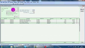 What NOT to Do in the sql financial accounting softwrae Industry
