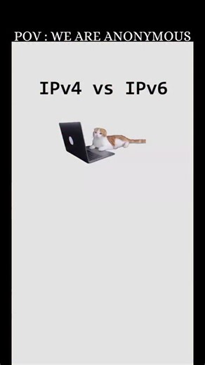Anonymous on Instagram: "IPv4 vs IPv6 addresses explained by cats !! #hack #hacker #hacking #cybersecurity #os #windows #anonymous #network CC : @coding.kitty"