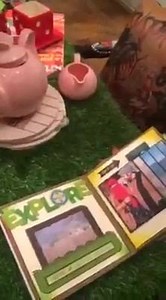 203K views · 2.1K reactions | The explosion albums are now available at Cow gifts :) #CowGifts #its_a_wonderful_world | COW | Facebook