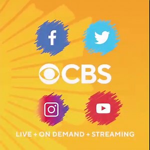 Meet Ivy, a green python from Chicago’s Shedd Aquarium. Green pythons spend almost all their entire lives in the trees and live in tropical rainforests of New Guinea and in Cape York Peninsula in Australia. | CBS Sunday Morning