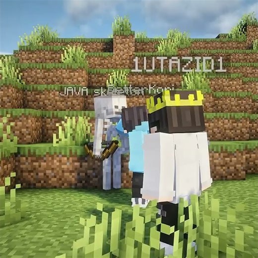 Java Skeleton VS Bedrock Skeleton 💀 #minecraft #edit