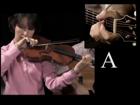 Fiddle for the Absolute Beginner: Essential Posture, Scale & Shuffle Bow By Jim Wood