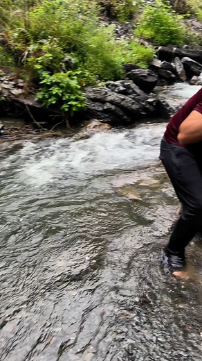 2.1M views · 4.5K reactions | Using net as a trap for catching the trapped fish with hand #fish #trout #fishing | Its Fishing Time | Facebook