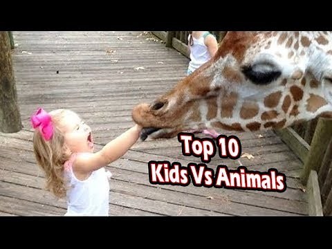 Top 10 Kids vs Animals Moments Ultimate Funny Pets Fails