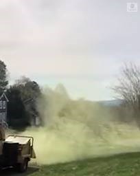 1.2M views · 6.2K reactions | Scary sight for allergy sufferers: A cloud of pollen rises as a tree-trimming company brings down a river birch tree in Tennessee. https://abcn.ws/2KgaUlJ | ABC News | Facebook