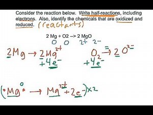 Half reactions for reaction of magnesium and oxygen gas