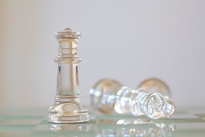 What Is Bug Tracking? | IBM