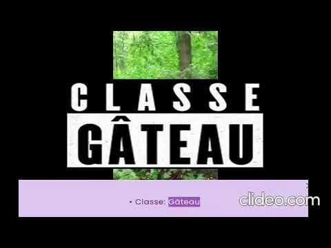 L'orienté objet comme personne ne l'a jamais expliqué.