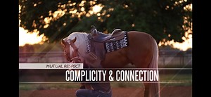28K views · 337 reactions | Learn the 4 Critical Steps every young horse should master in the round pen before moving on to the open pad. I've just uploaded each steps covering all in details on the Why and How at https://thecomfortzone.vhx.tv - Try it Free for 7 Days - Foundation - Tools - Exercises - Drills - Controling the Feet - Body Control - And much more | JG Reining Horses | Facebook