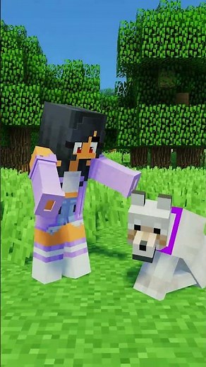 Aphmau's NEW PUPPY!