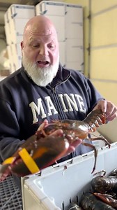 2.5K views · 447 reactions | Do you want to be rewarded for loving...