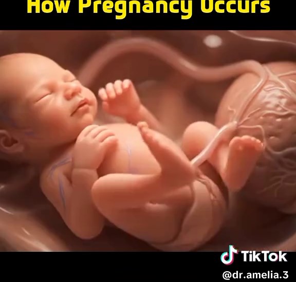 Understanding How Pregnancy Occurs: A Comprehensive Guide