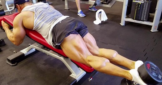 15 Best Leg Curl Alternatives for Stronger Hamstrings – Fitness Volt