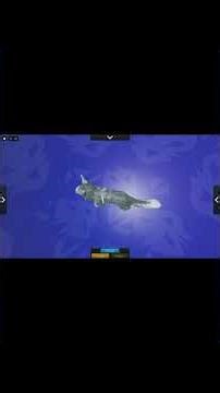 morph showcase! pt.1