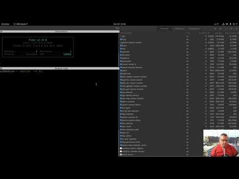 Web api benchmarking: Go (Fiber) vs Rust (actix-web)