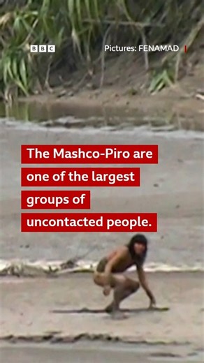 4.2M views · 36K reactions | Half of all isolated tribes could be wiped out in the next decade if more is not done to help them, according to a new report by the NGO Survival International.  Watch our documentary on YouTube: https://bit.ly/43hoUlk | BBC World Service | Facebook