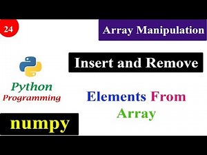 Array Manipulation | Insert and Delete Function | NumPy Tutorials | Python Programming