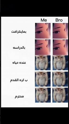 الي يتفق يقول بطيخ #minecraft