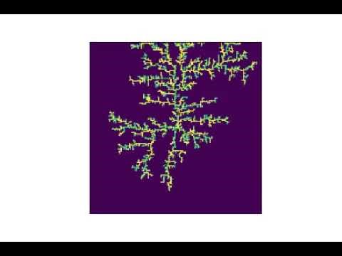 Diffusion-Limited Aggregation (DLA) – Particles Aggregating to Centre | Python Animation (201×201)