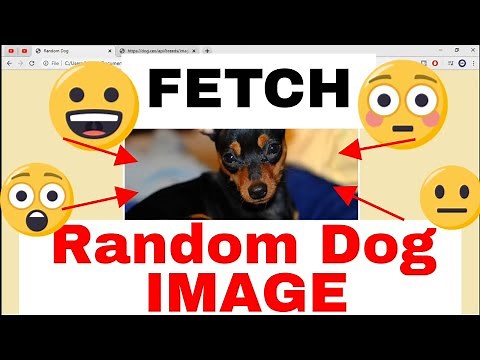 How to FETCH DATA from an API using JavaScript