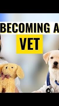 How To Become a Vet | Career Path Guide