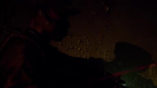 Alien Predator (2018)