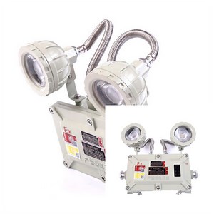 [Hot Item] 220V Rechargeable Explosion Proof LED Home Emergency Light