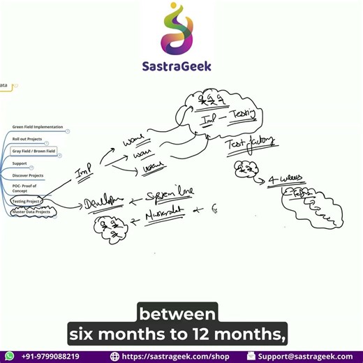 What is Master Data Project in SAP make for this