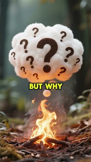 Earth’s Core is Hotter Than the Sun! | Mini Sun Inside Our Planet #science