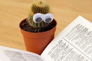 Veinte de los mejores ebooks gratis para aprender programación